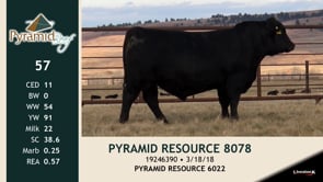 Lot #57 - PYRAMID RESOURCE 8078