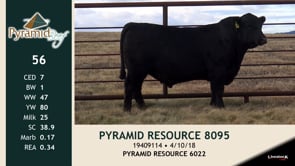 Lot #56 - PYRAMID RESOURCE 8095