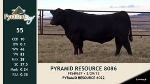 Lot #55 - PYRAMID RESOURCE 8086