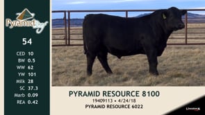 Lot #54 - PYRAMID RESOURCE 8100