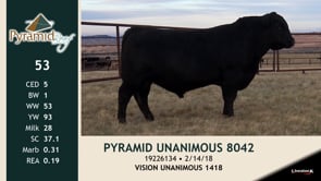 Lot #53 - PYRAMID UNANIMOUS 8042