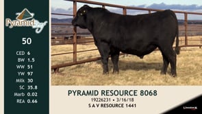 Lot #50 - PYRAMID RESOURCE 8068