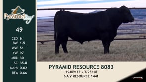 Lot #49 - PYRAMID RESOURCE 8083