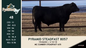 Lot #48 - PYRAMID STEADFAST 8057