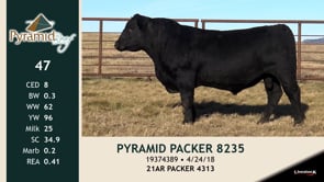 Lot #47 - PYRAMID PACKER 8235