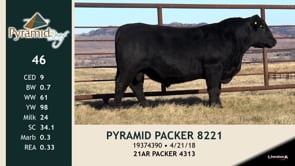 Lot #46 - PYRAMID PACKER 8221