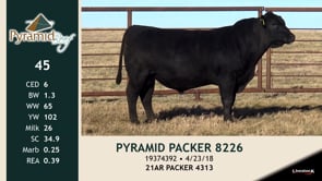 Lot #45 - PYRAMID PACKER 8226