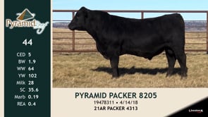 Lot #44 - PYRAMID PACKER 8205