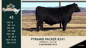 Lot #43 - PYRMAID PACKER 8241
