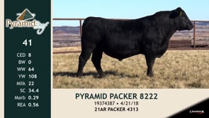 Lot #41 - PYRAMID PACKER 8222