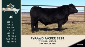 Lot #40 - PYRAMID PACKER 8228