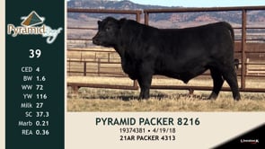 Lot #39 - PYRAMID PACKER 8216