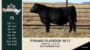 Lot #75 - PYRAMID PLAYBOOK 9012