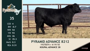 Lot #35 - PYRAMID ADVANCE 8212