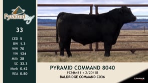 Lot #33 - PYRAMID COMMAND 8040