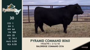 Lot #30 - PYRAMID COMMAND 8060
