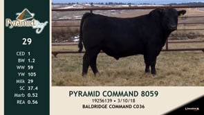 Lot #29 - PYRAMID COMMAND 8059