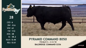 Lot #28 - PYRAMID COMMAND 8050