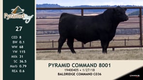 Lot #27 - PYRAMID COMMAND 8001