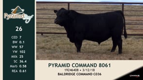 Lot #26 - PYRAMID COMMAND 8061