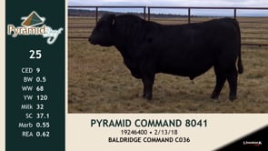 Lot #25 - PYRAMID COMMAND 8041