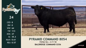 Lot #24 - PYRAMID COMMAND 8054