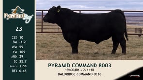 Lot #23 - PYRAMID COMMAND 8003