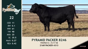 Lot #22 - PYRAMID PACKER 8246