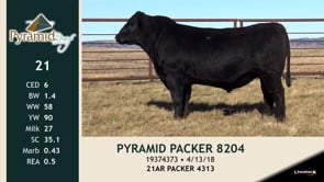 Lot #21 - PYRAMID PACKER 8204