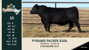 Lot #20 - PYRAMID PACKER 8206