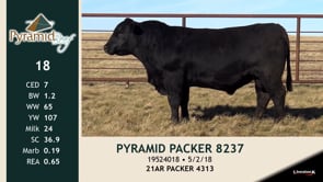 Lot #18 - PYRAMID PACKER 8237