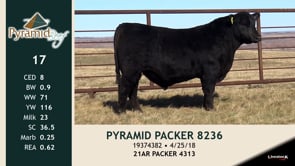 Lot #17 - PYRAMID PACKER 8236