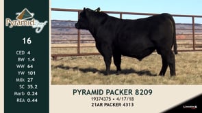 Lot #16 - PYRAMID PACKER 8209