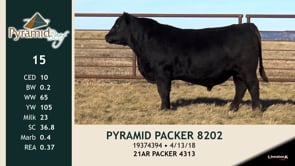 Lot #15 - PYRAMID PACKER 8202