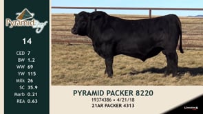 Lot #14 - PYRAMID PACKER 8220