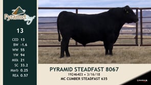 Lot #13 - PYRAMID STEADFAST 8067