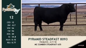 Lot #12 - PYRAMID STEADFAST 8093