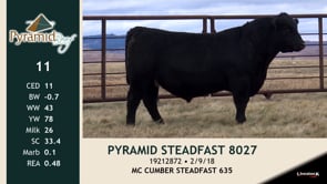 Lot #11 - PYRAMID STEADFAST 8027