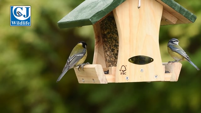 CJ Wildlife Colorado Hanging Feeder