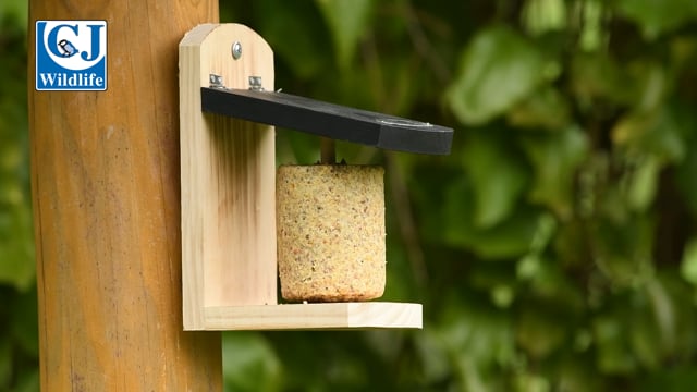 CJ Wildlife Acadia Feeder