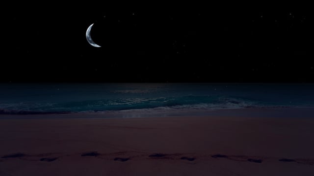 Tropical Beach at Night - Nature Soundscape