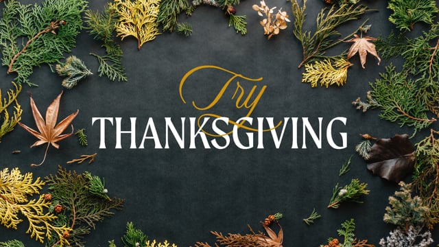 Try Thanksgiving // 11.24.2019