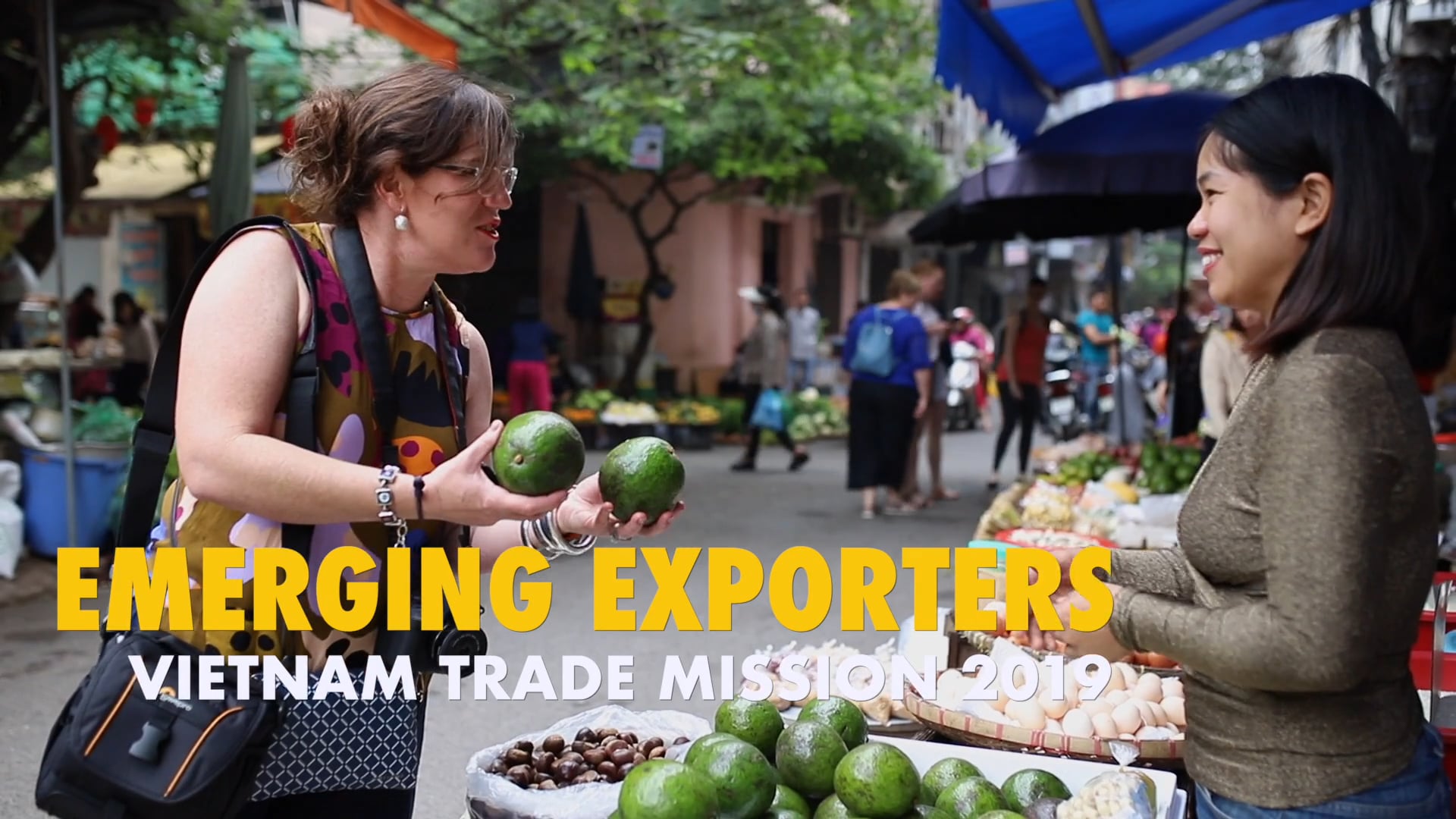 SHELL QGC - Emerging Exporters VIETNAM