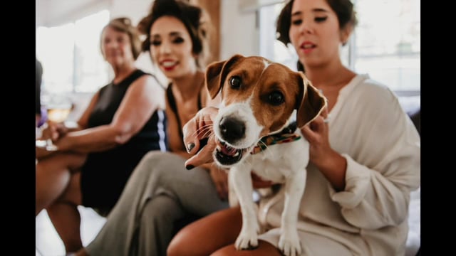 Viví este gran día con este video.'