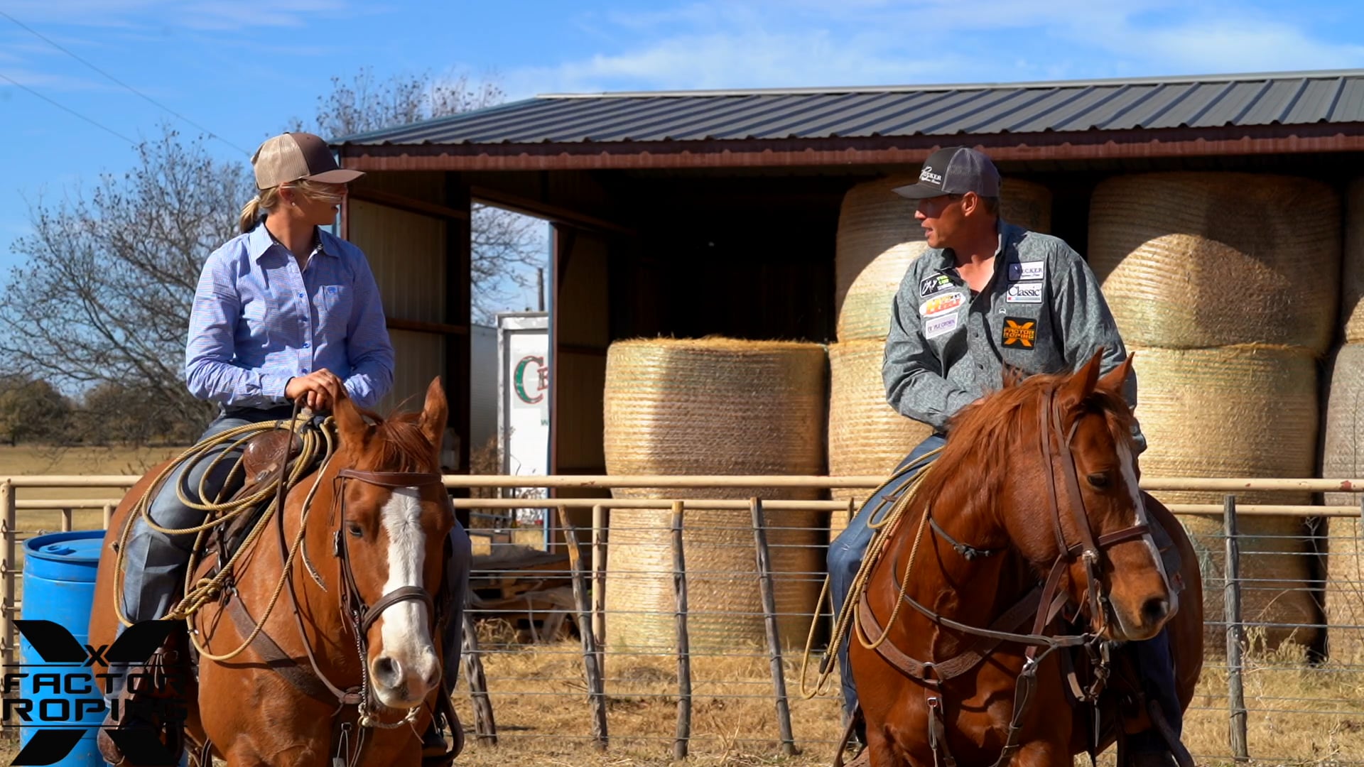 Steps on Scoring a Horse Correctly with Marty Becker and Chelsea Brown FREE