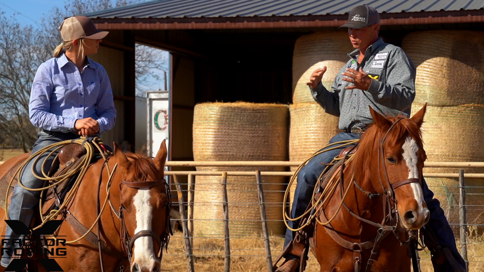 Working on Bad Habits in the Box with Marty Becker and Chelsea Brown FREE