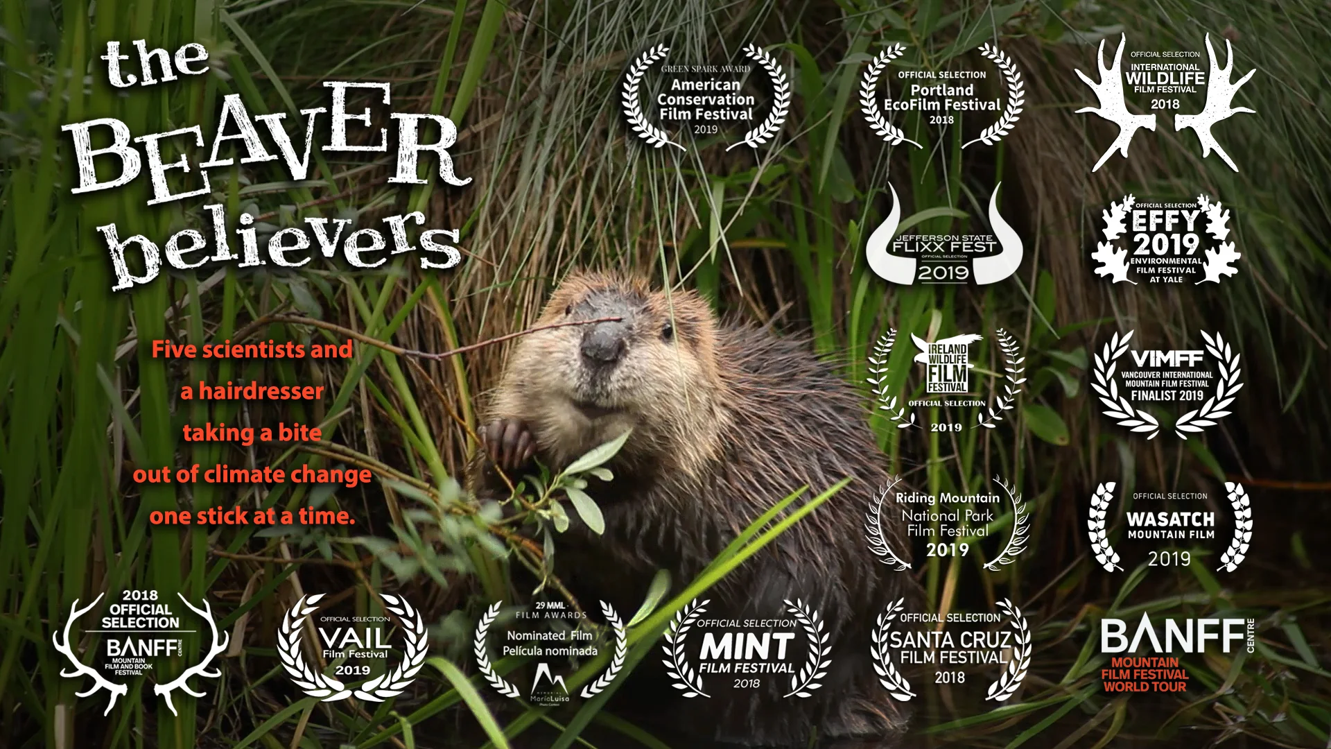 The Beaver