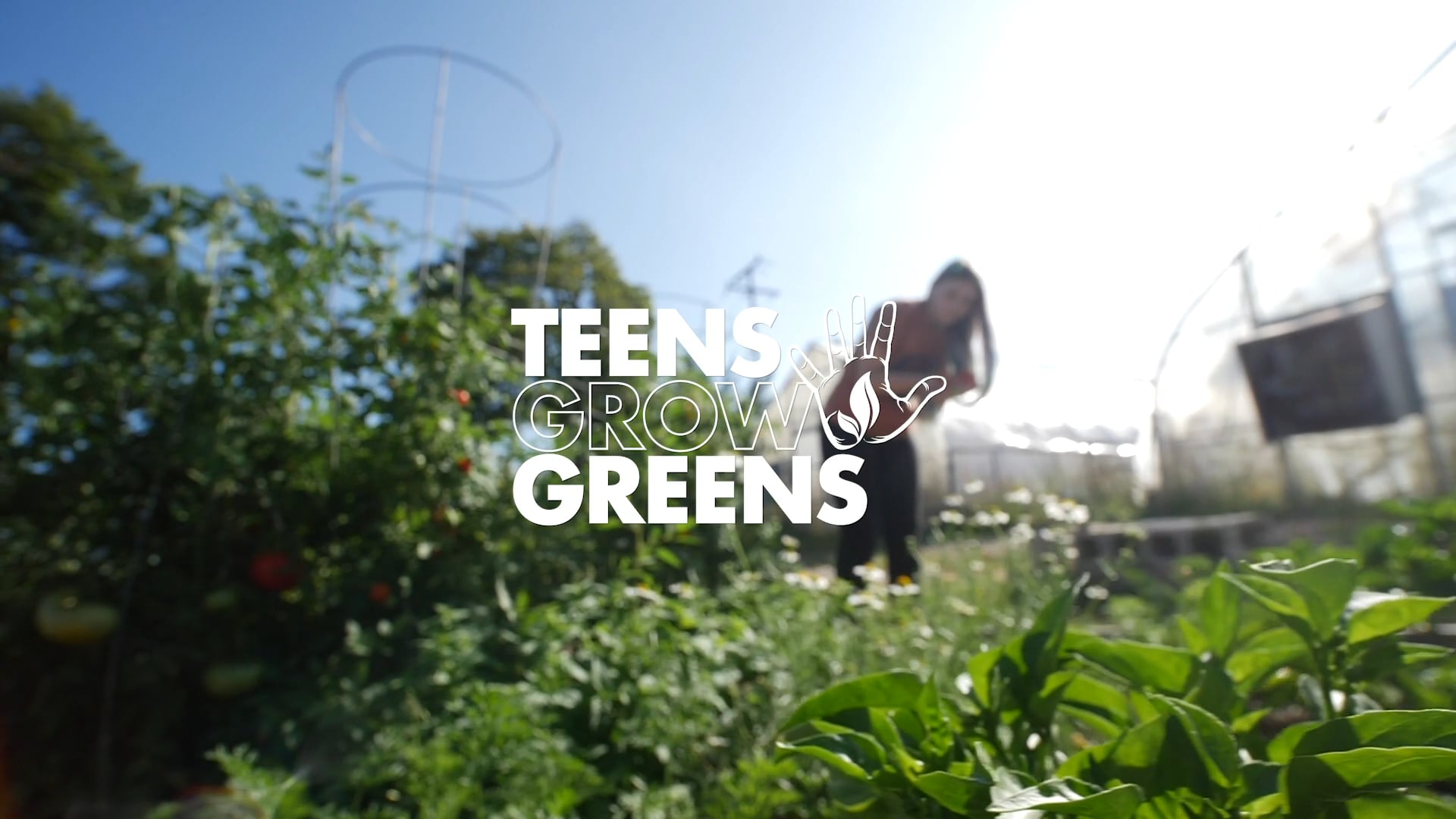 Teens Grow Greens 2019