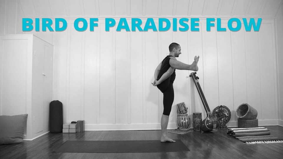 Bird of Paradise Flow