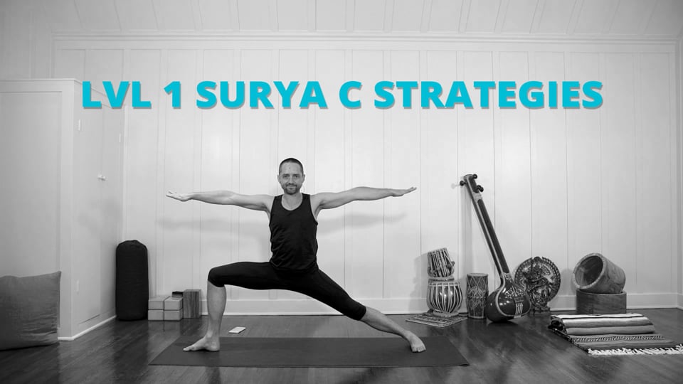 Lvl 1 Surya C Strategies